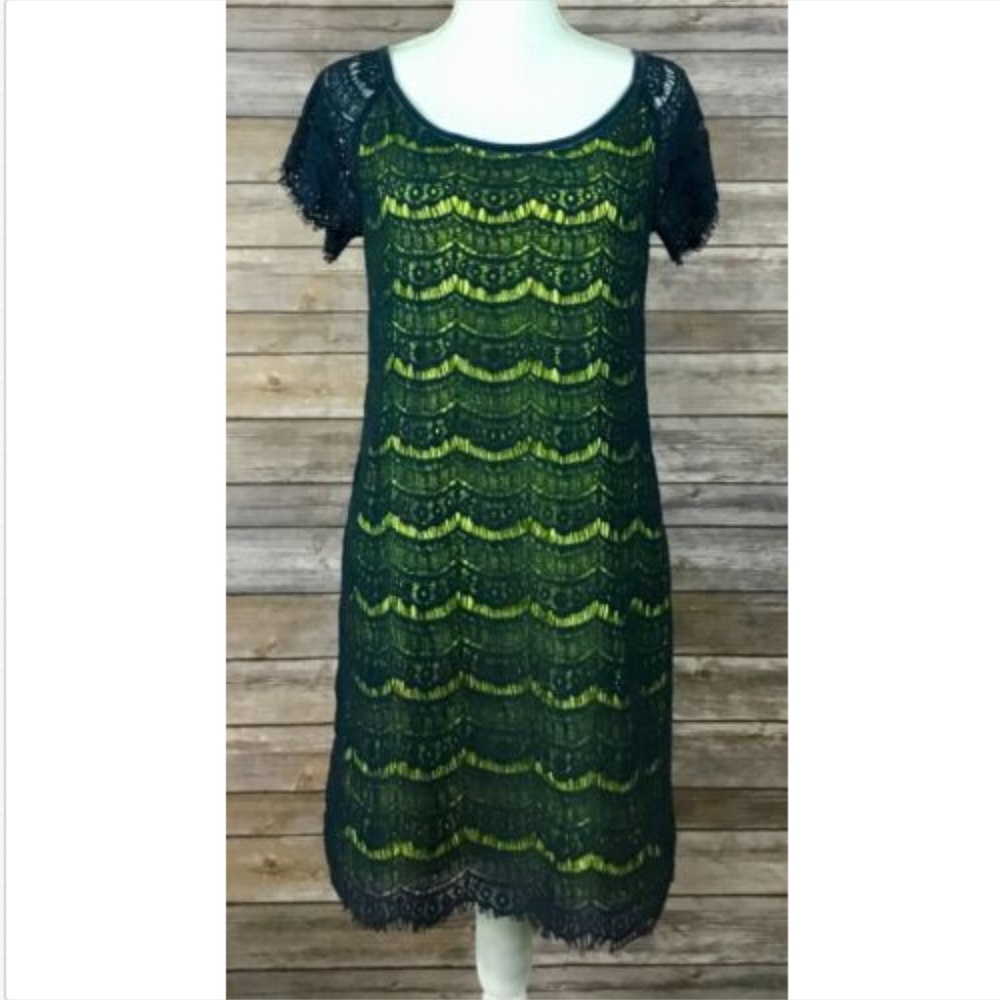 Chelsea & Violet Womens Scoop Neck Lace Dress I45